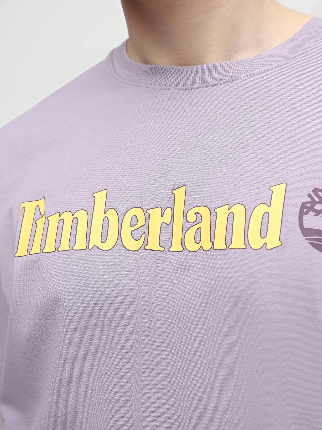 Футболки і поло Timberland Linear Logo модель TB0A5UPQEG7 Футболки і поло Timberland Linear Logo модель TB0A5UPQEG7 Фото