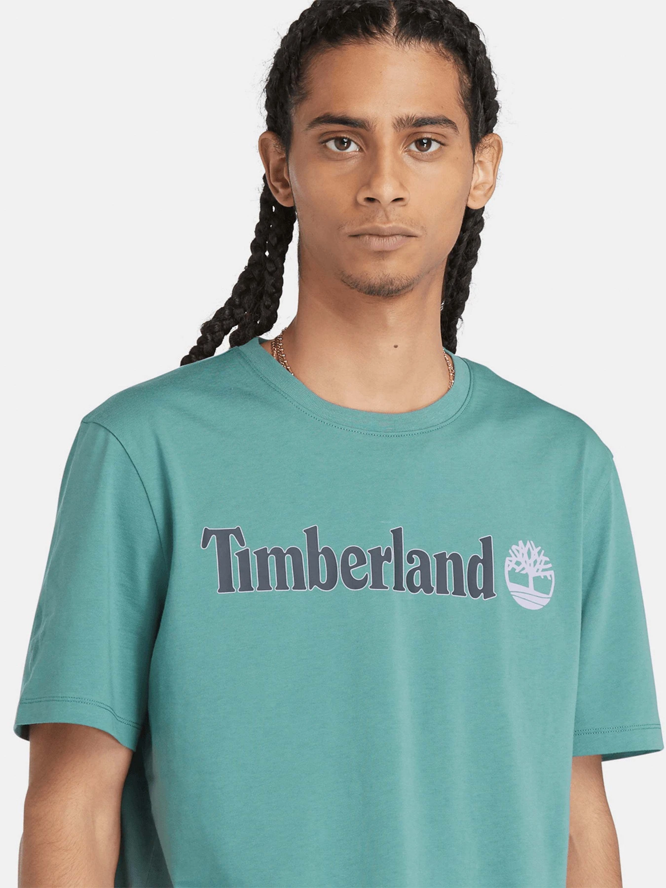 Футболки і поло Timberland Linear Logo модель TB0A5UPQCL6 Футболки і поло Timberland Linear Logo модель TB0A5UPQCL6 Фото