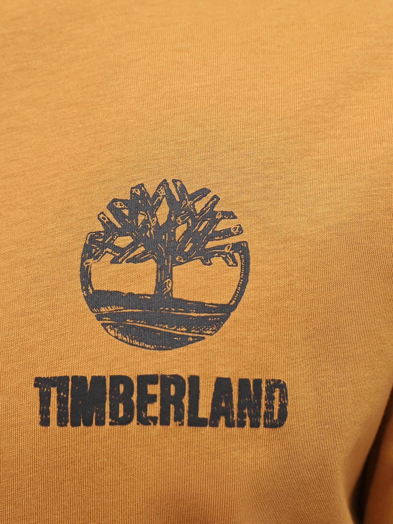 Футболки і поло Timberland Graphic модель TB0A5V7KP47 Футболки і поло Timberland Graphic модель TB0A5V7KP47 Фото