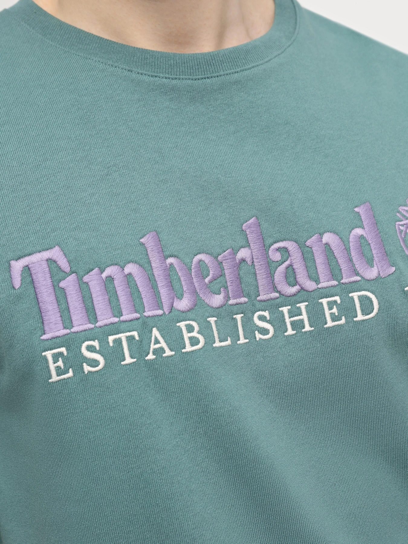 Футболки и поло Timberland Short Sleeve Logo модель TB0A6SE1CL6 Футболки и поло Timberland Short Sleeve Logo модель TB0A6SE1CL6 Фото