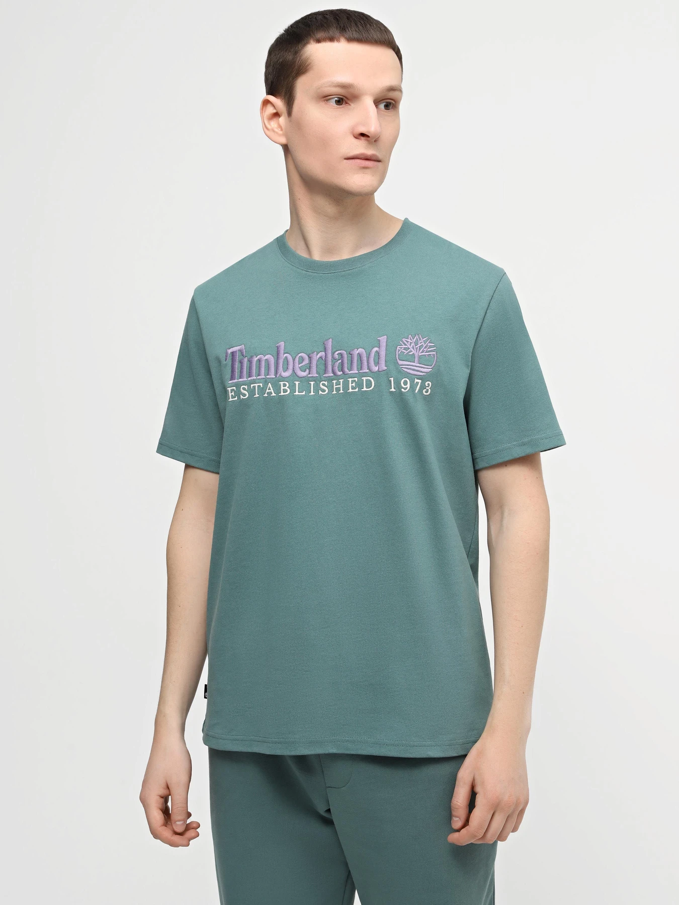Футболки и поло Timberland Short Sleeve Logo модель TB0A6SE1CL6 Футболки и поло Timberland Short Sleeve Logo модель TB0A6SE1CL6 Фото