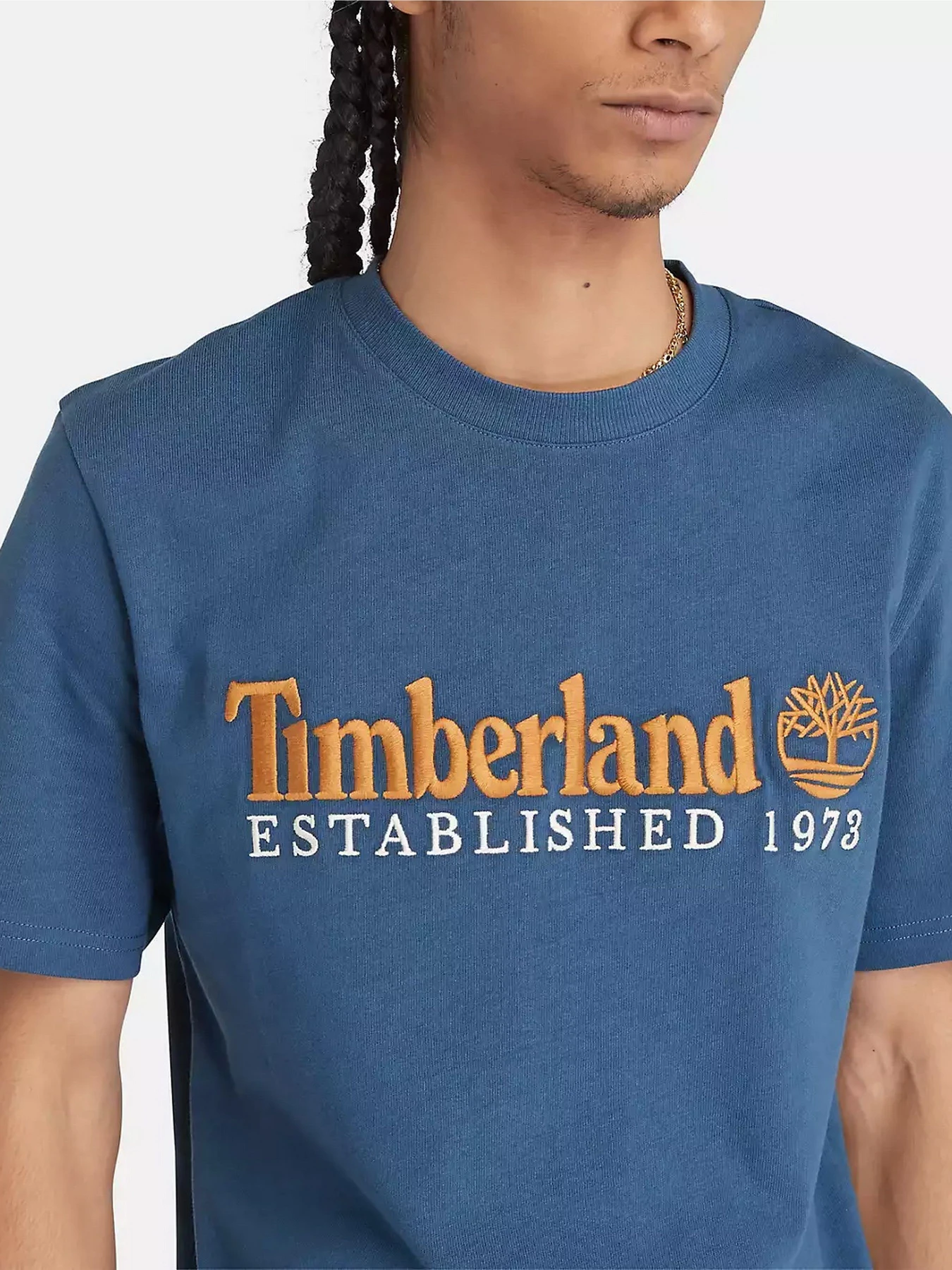 Футболки і поло Timberland Logo модель TB0A6SE1288 Футболки і поло Timberland Logo модель TB0A6SE1288 Фото