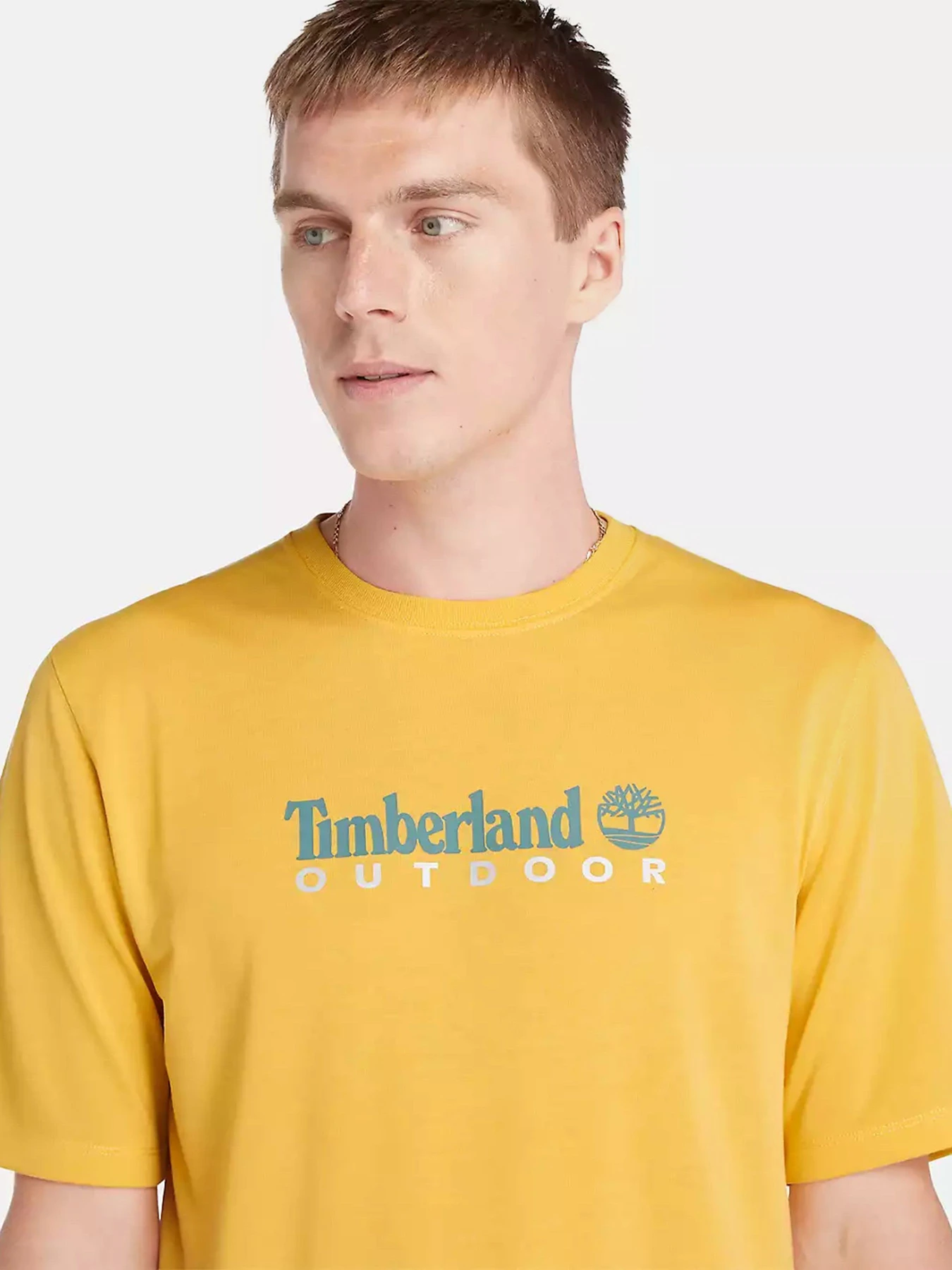 Футболки и поло Timberland Anti-UV Printed модель TB0A5SFXEG4 Футболки и поло Timberland Anti-UV Printed модель TB0A5SFXEG4 Фото