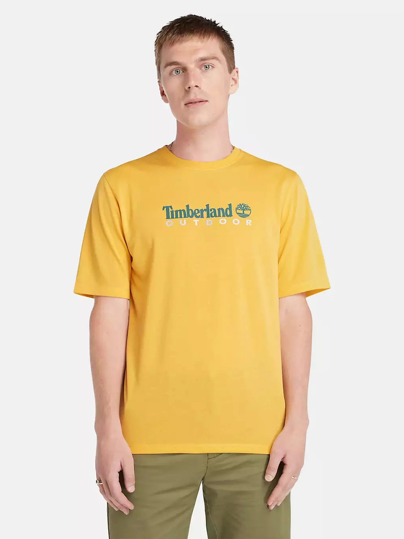 Футболки и поло Timberland Anti-UV Printed модель TB0A5SFXEG4 Футболки и поло Timberland Anti-UV Printed модель TB0A5SFXEG4 Фото