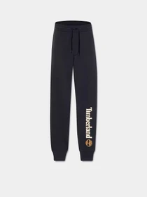 Брюки Timberland Linear Logo модель TB0A5YFB001 Фото