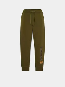 Брюки Timberland Linear Logo модель TB0A5YFB302 Фото