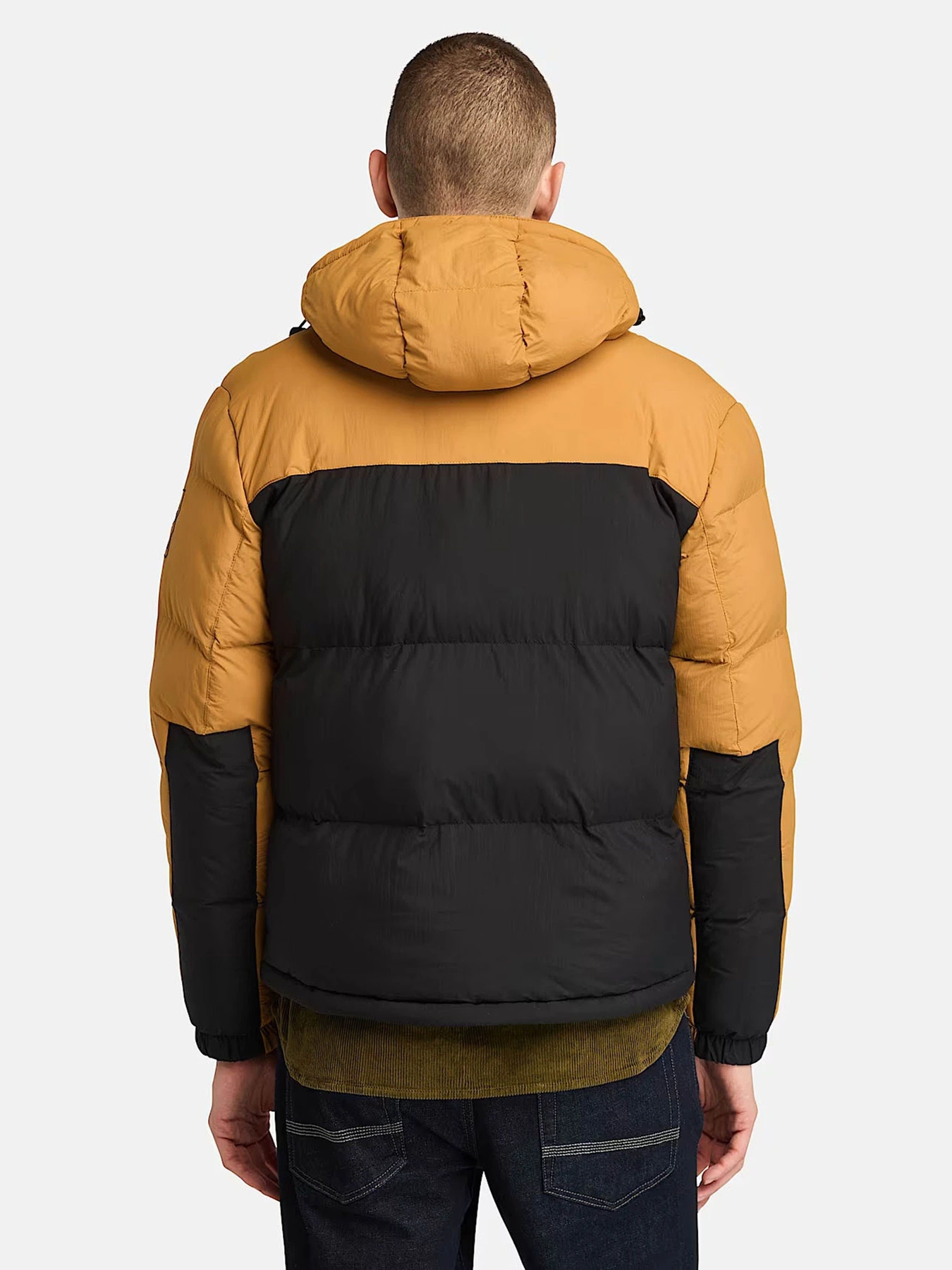 Куртки та дублянки Timberland Durable Water-Repellent модель TB0A6267P57 Фото