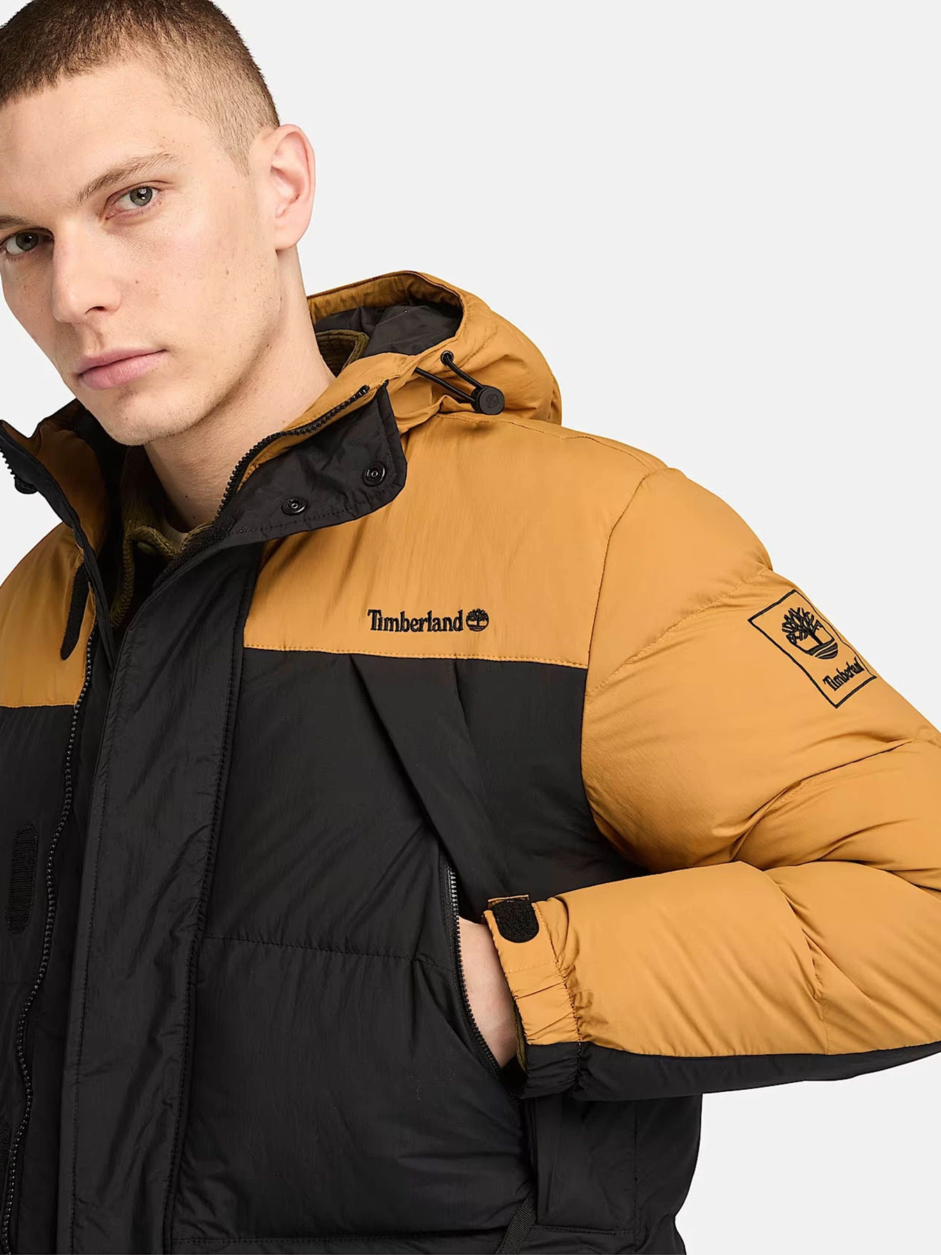 Куртки та дублянки Timberland Durable Water-Repellent модель TB0A6267P57 Фото