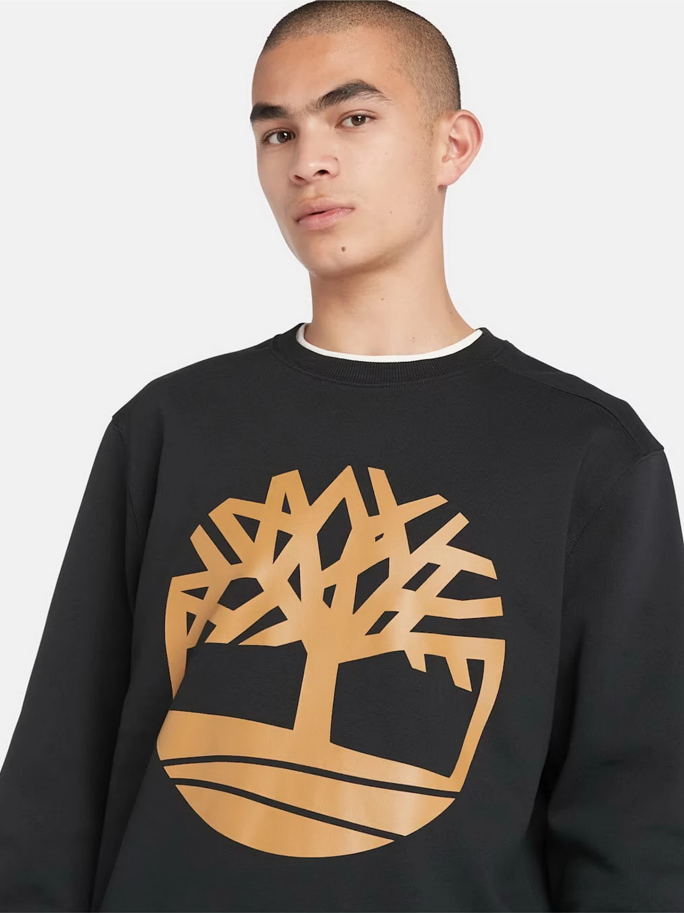 Худі та світшоти Timberland Tree Logo Crewneck модель TB0A2BJ8P56 Худі та світшоти Timberland Tree Logo Crewneck модель TB0A2BJ8P56 Фото
