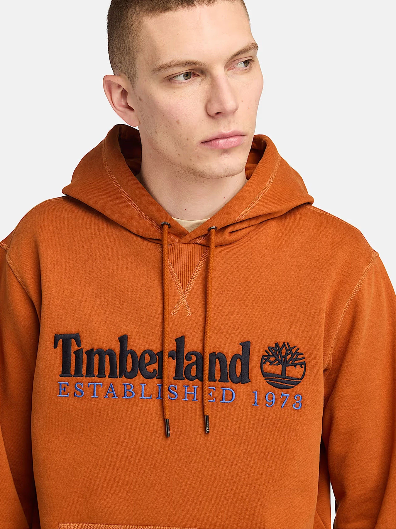 Худи и свитшоты Timberland Established 1973 модель TB0A5NR2888 Худи и свитшоты Timberland Established 1973 модель TB0A5NR2888 Фото