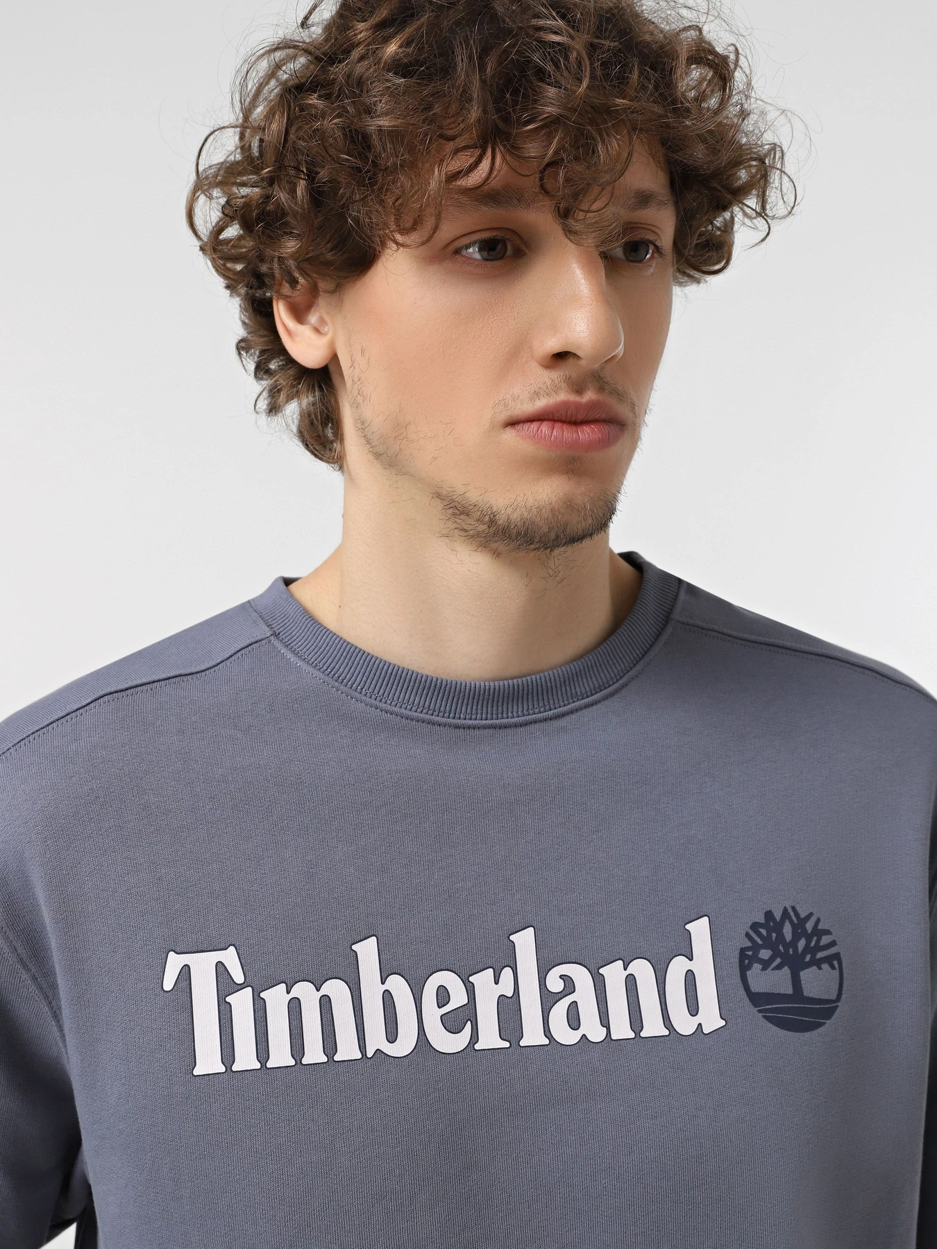 Худі та світшоти Timberland Linear Logo Crew Neck модель TB0A5UJY073 Худі та світшоти Timberland Linear Logo Crew Neck модель TB0A5UJY073 Фото