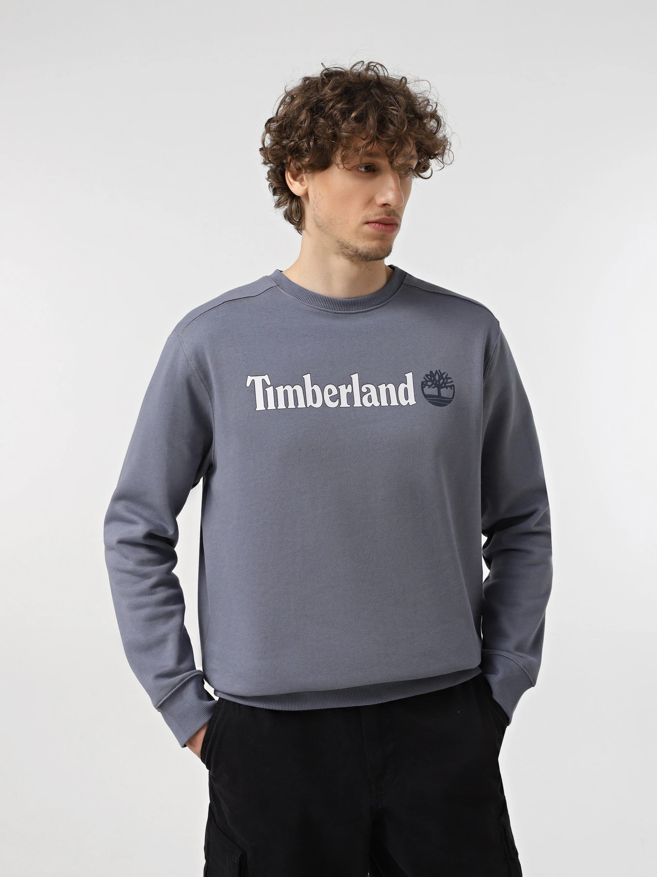 Худі та світшоти Timberland Linear Logo Crew Neck модель TB0A5UJY073 Худі та світшоти Timberland Linear Logo Crew Neck модель TB0A5UJY073 Фото