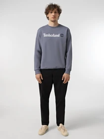 Худі та світшоти Timberland Linear Logo Crew Neck модель TB0A5UJY073 Фото