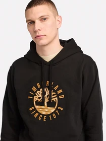Худи и свитшоты Timberland Holiday Graphic модель TB0A6VGT001 Фото