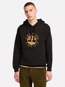 Худи и свитшоты Timberland Holiday Graphic модель TB0A6VGT001 Фото