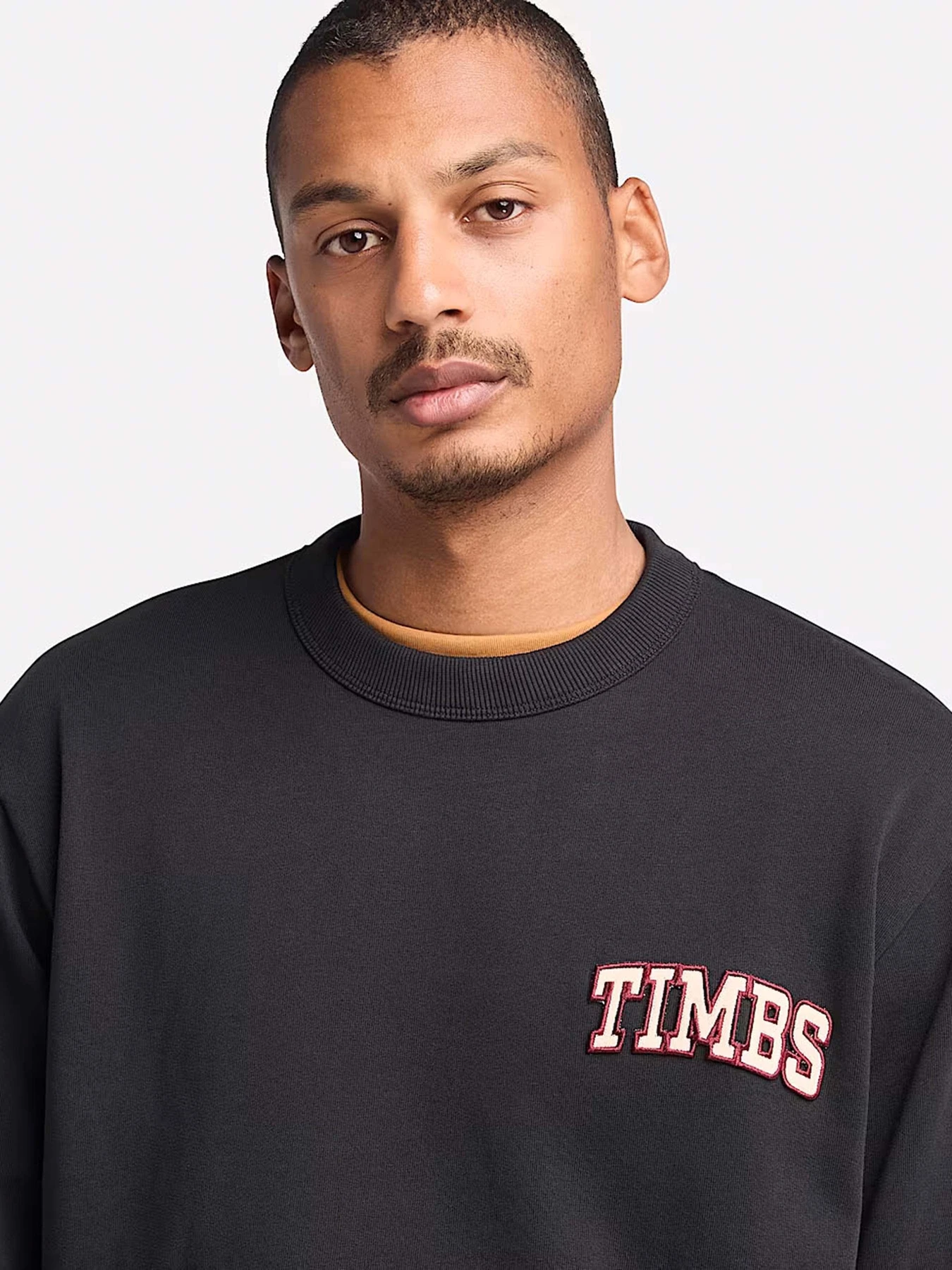 Худі та світшоти Timberland TIMBS Graphic Crewneck модель TB0A6GPQ001 Фото