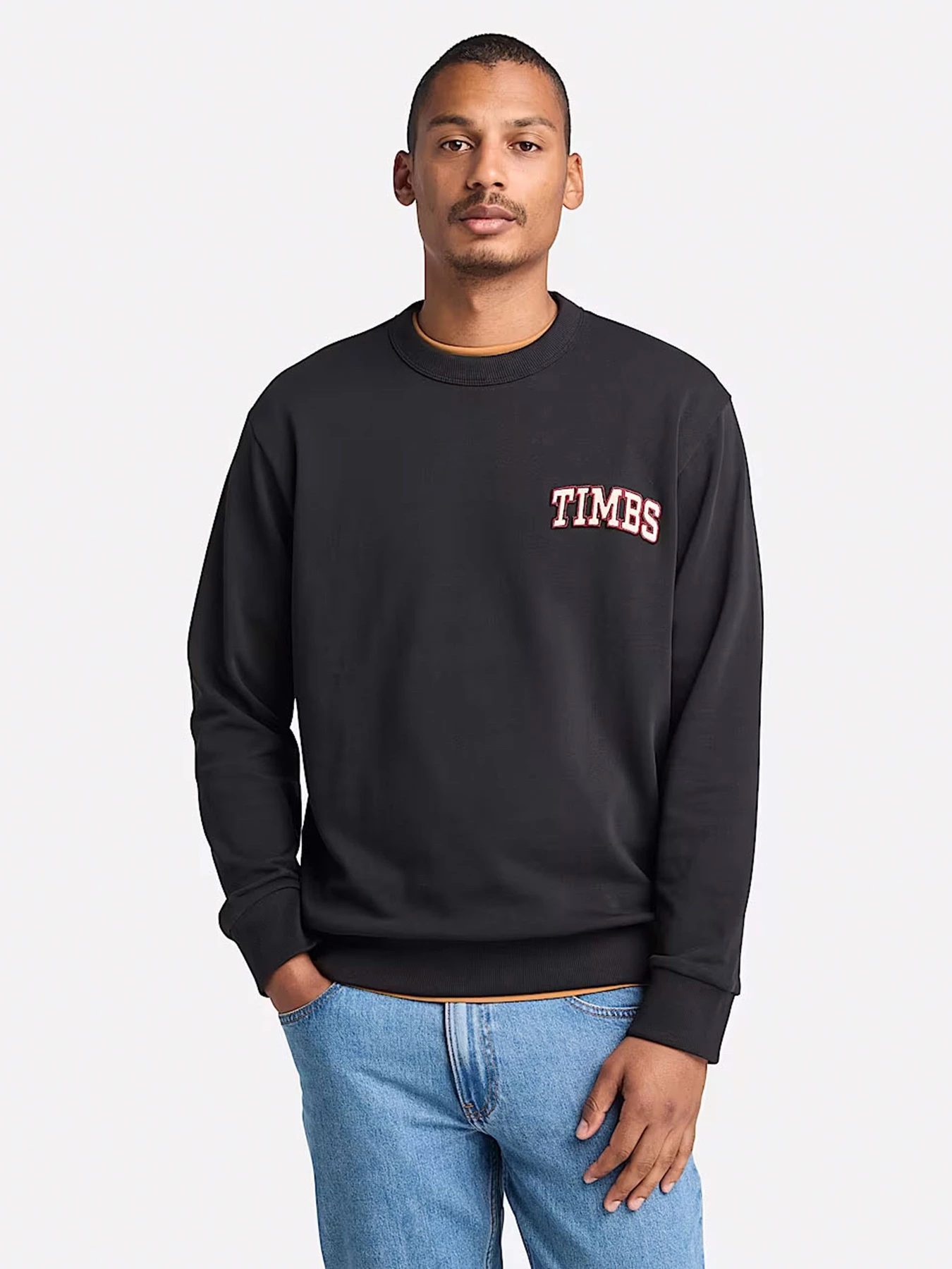 Худі та світшоти Timberland TIMBS Graphic Crewneck модель TB0A6GPQ001 Фото