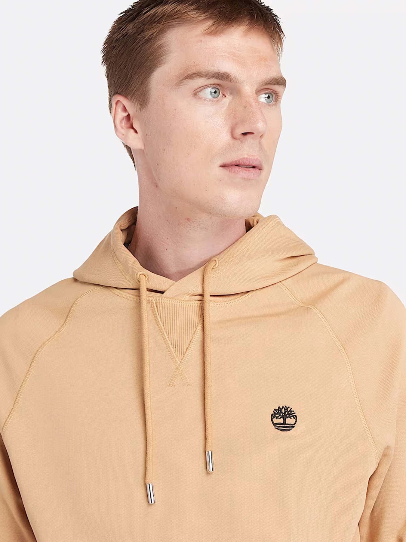 Худи и свитшоты Timberland Loopback модель TB0A5U7QEH3 Фото