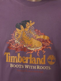 Футболки и поло Timberland Front Boot Graphic модель TB0A6DJ1ENX Фото