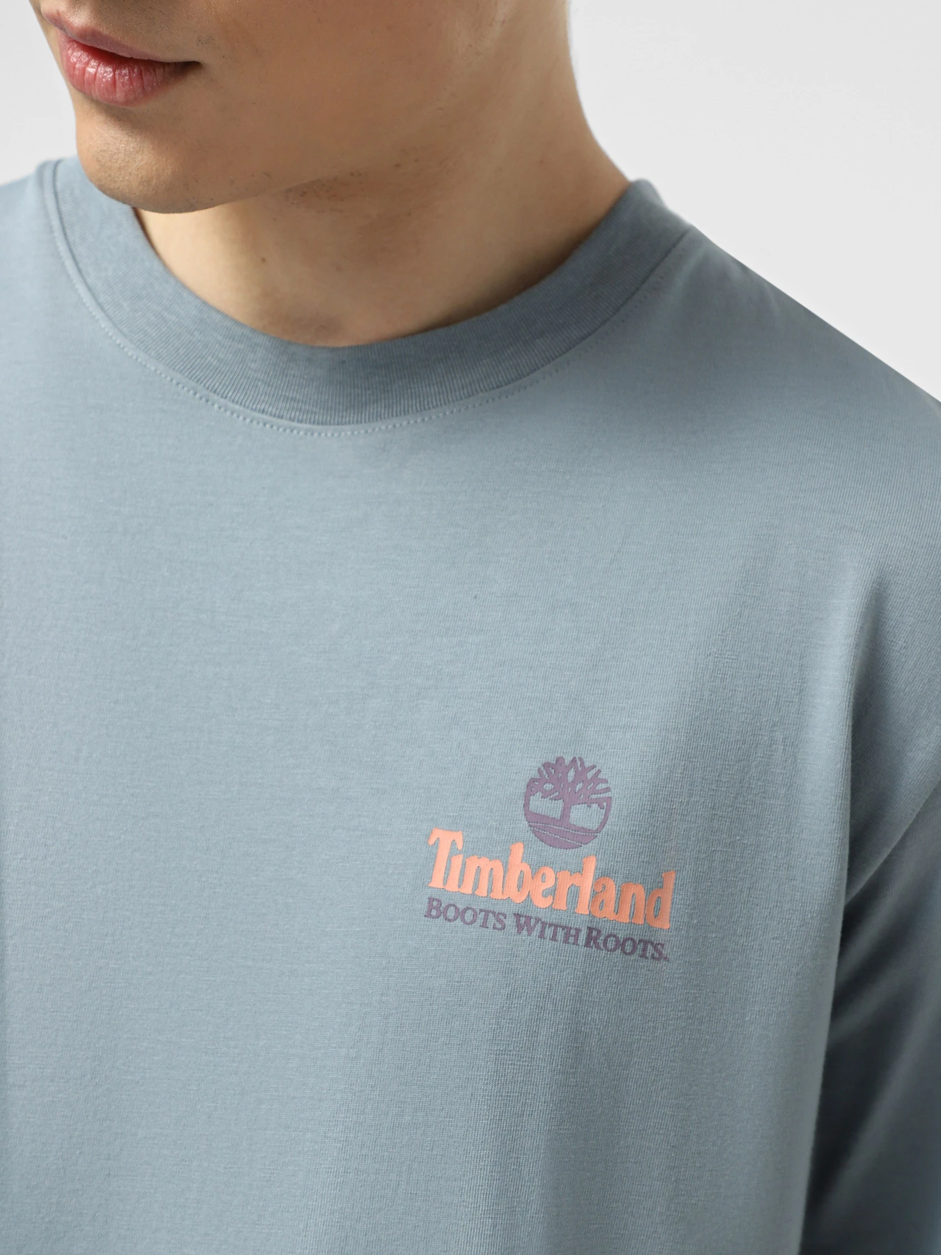 Футболки і поло Timberland Illustrated Tree Logo Back Graphic модель TB0A6DG5758 Футболки і поло Timberland Illustrated Tree Logo Back Graphic модель TB0A6DG5758 Фото