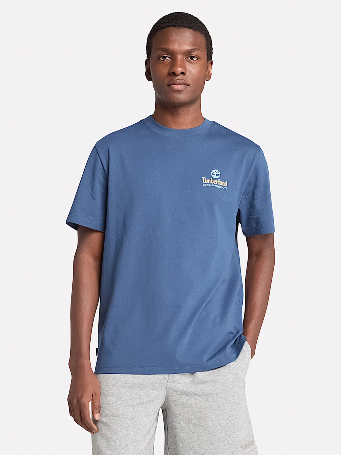 Футболки и поло Timberland Illustrated Tree Logo Back Graphic модель TB0A6DG5288 Футболки и поло Timberland Illustrated Tree Logo Back Graphic модель TB0A6DG5288 Фото