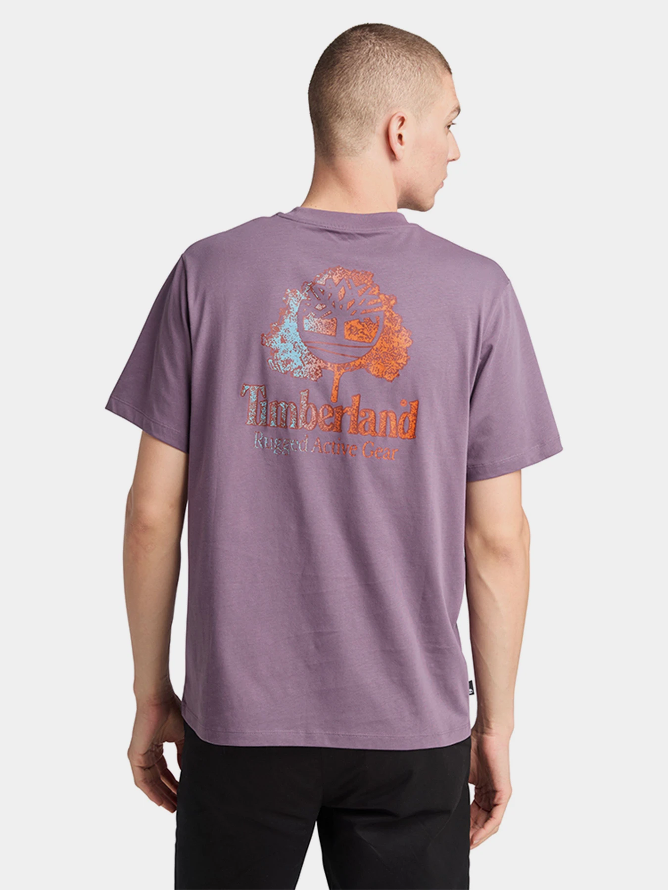 Футболки и поло Timberland Rugged Active Gear Back Graphic модель TB0A6DMAENX Футболки и поло Timberland Rugged Active Gear Back Graphic модель TB0A6DMAENX Фото