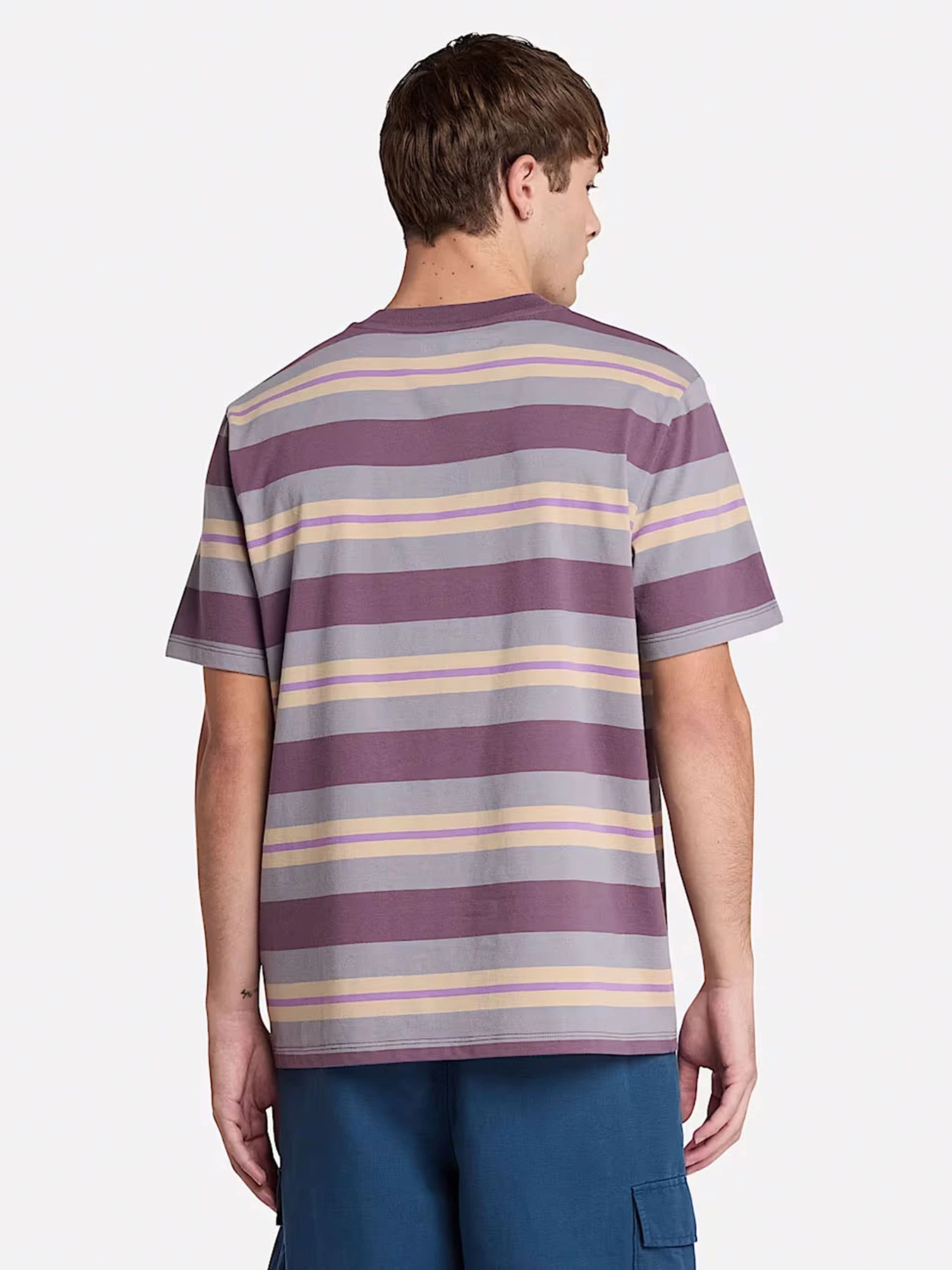Футболки и поло Timberland Striped модель TB0A6DT5EOF Футболки и поло Timberland Striped модель TB0A6DT5EOF Фото