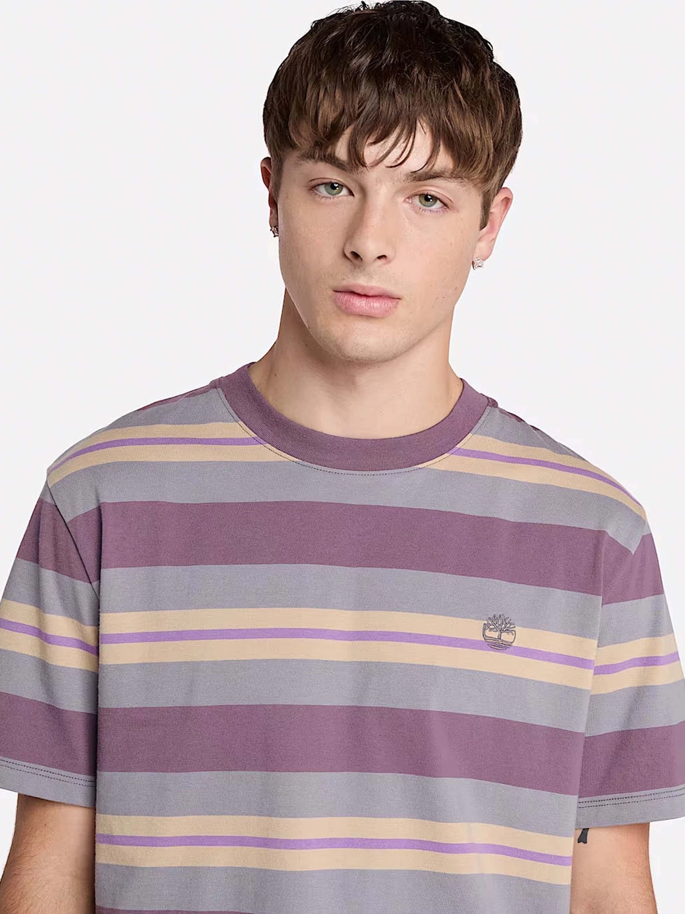 Футболки и поло Timberland Striped модель TB0A6DT5EOF Футболки и поло Timberland Striped модель TB0A6DT5EOF Фото