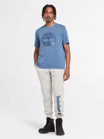 Футболки і поло Timberland Merrymack River Garment Dye Logo Graphic модель TB0A5UEK288 Фото