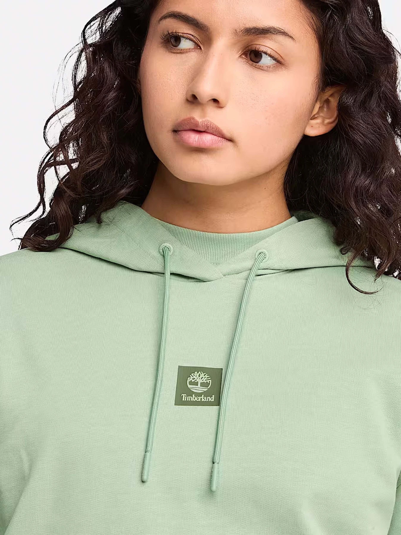 Худі та світшоти Timberland Loopback модель TB0A5SX2EC6 Худі та світшоти Timberland Loopback модель TB0A5SX2EC6 Фото