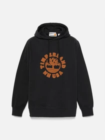 Худи и свитшоты Timberland модель TB0A5MBT001 Фото