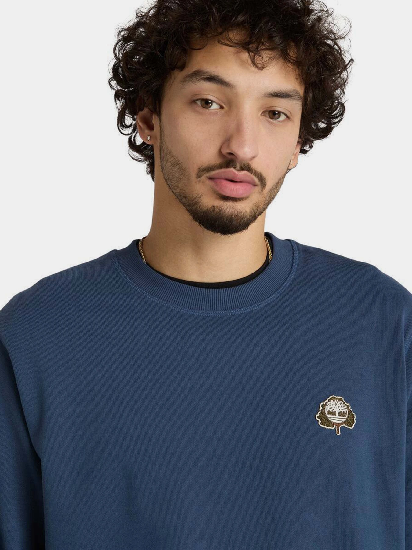 Худи и свитшоты Timberland Tree Logo Patch модель TB0A6HHKEYO Фото