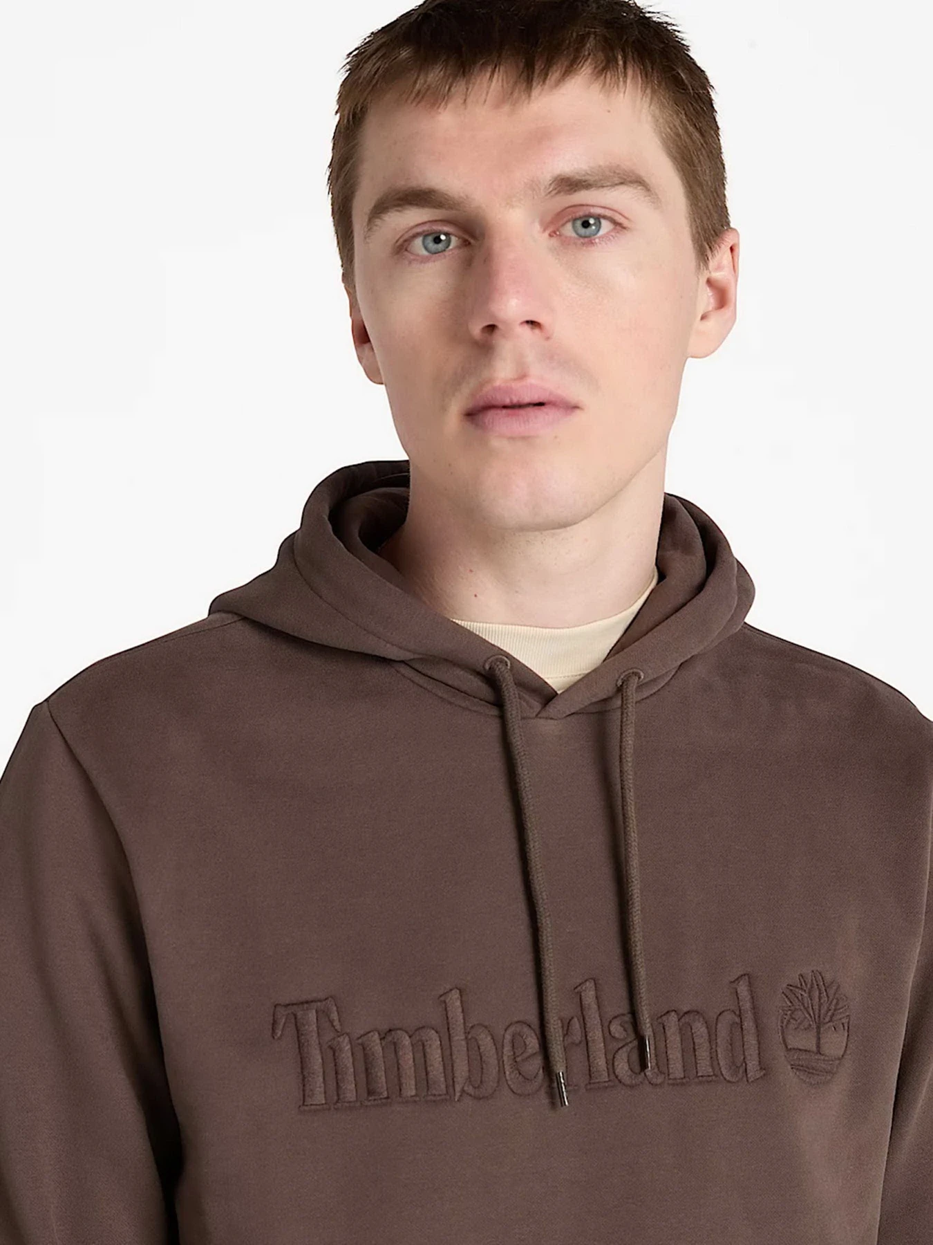 Худи и свитшоты Timberland модель TB0A6VFJ243 Фото