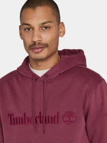Худи и свитшоты Timberland Hampton модель TB0A6VFJ648 Фото
