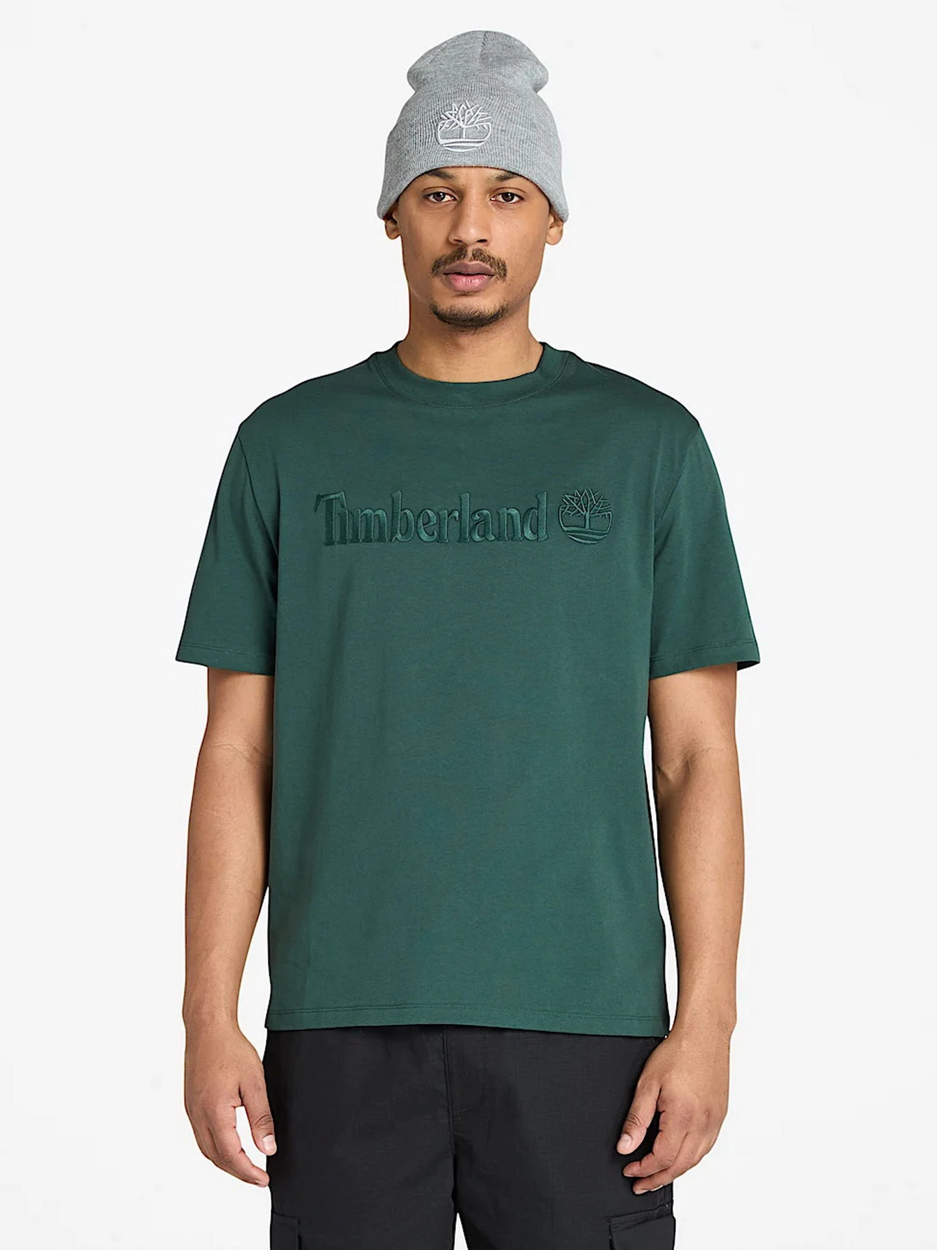 Футболки і поло Timberland модель TB0A6VPE317 Футболки і поло Timberland модель TB0A6VPE317 Фото