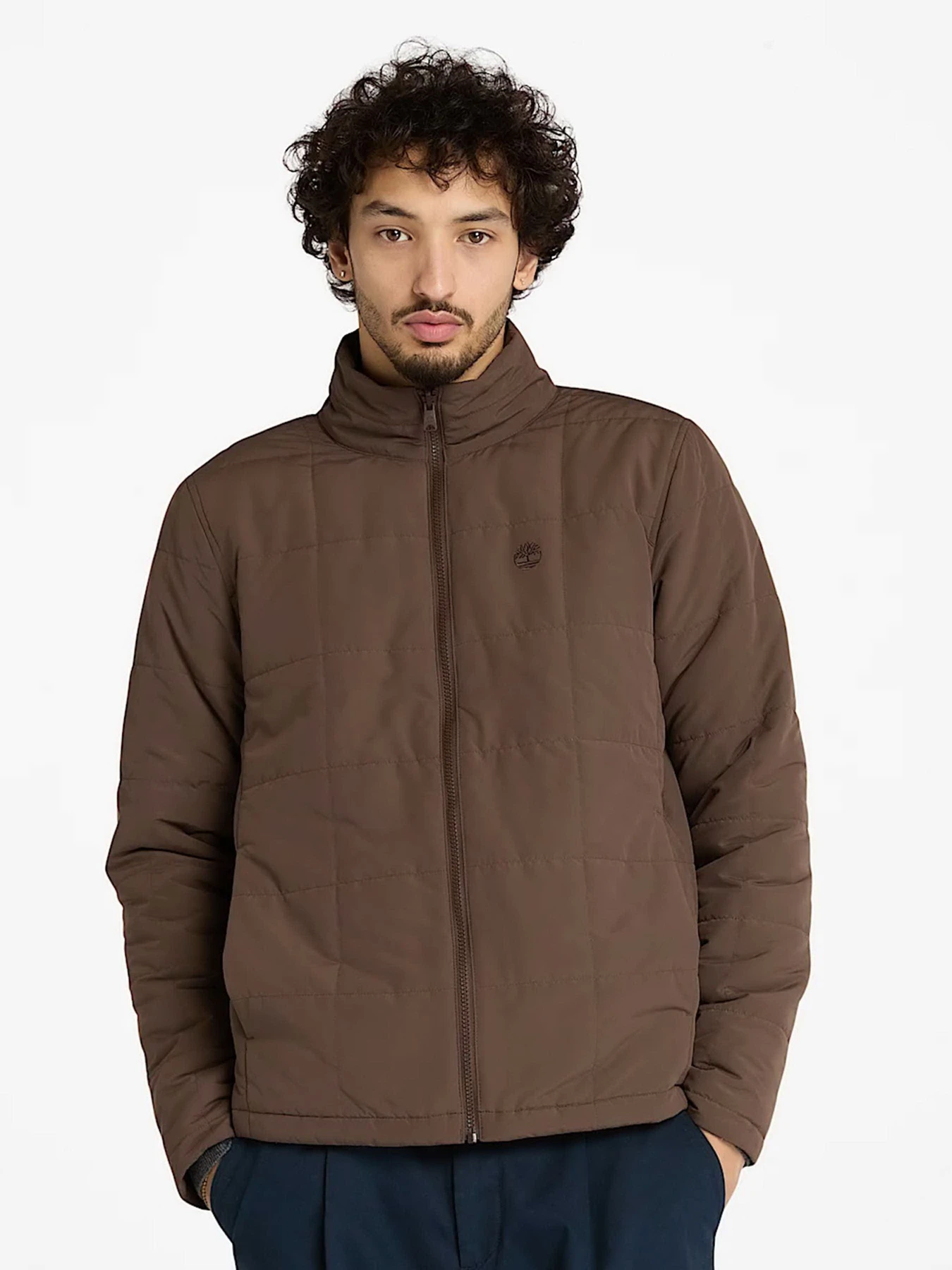 Куртки та дублянки Timberland модель TB0A6UZJ243 Фото