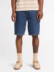 Шорти Timberland модель TB0A6KQKABY Фото