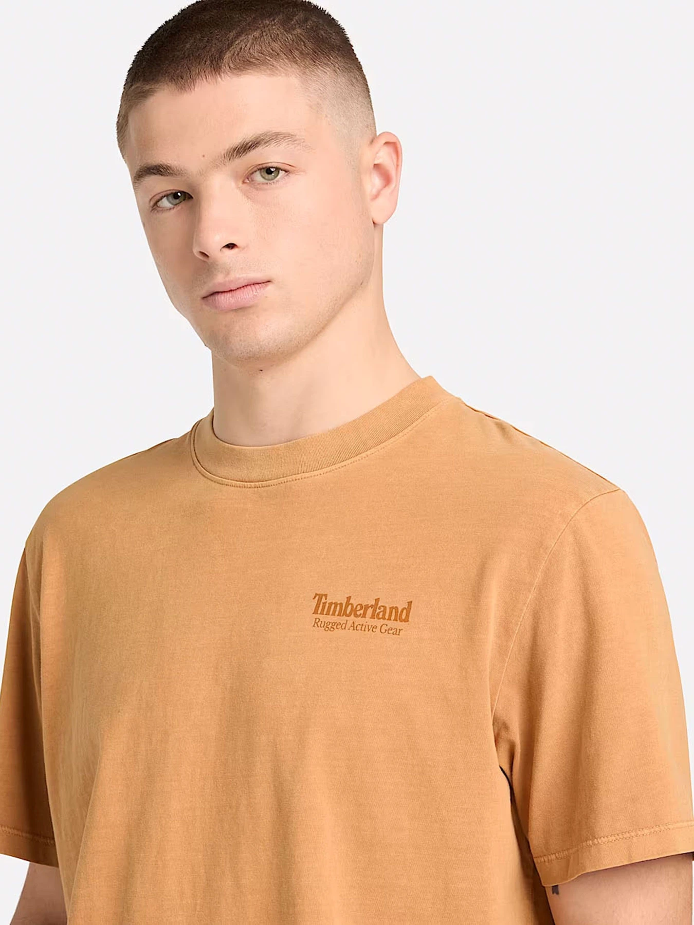 Футболки и поло Timberland модель TB0A5MU6P47 Футболки и поло Timberland модель TB0A5MU6P47 Фото