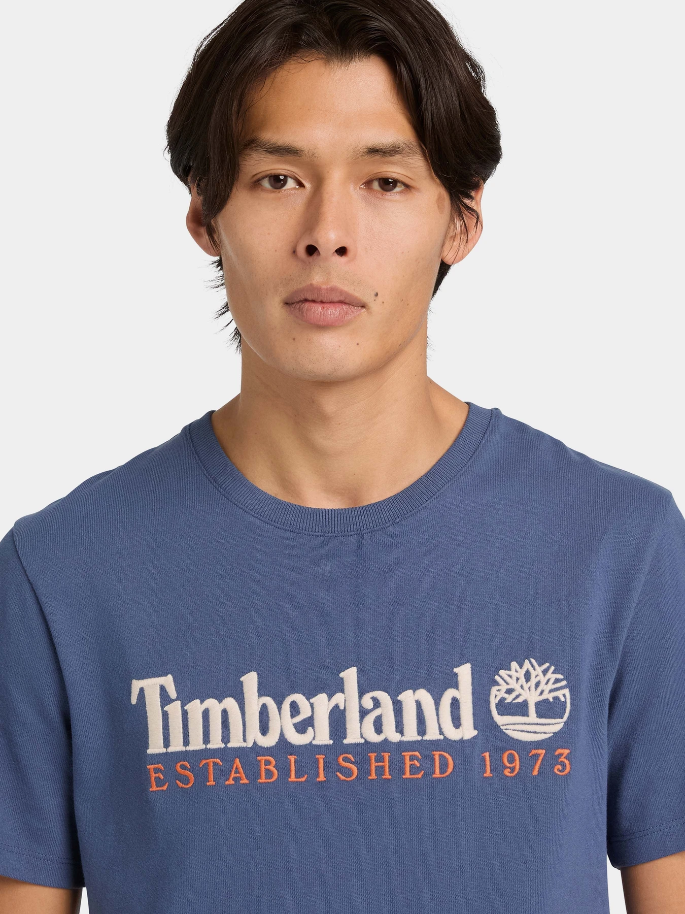 Футболки и поло Timberland модель TB0A6SE1EYO Футболки и поло Timberland модель TB0A6SE1EYO Фото