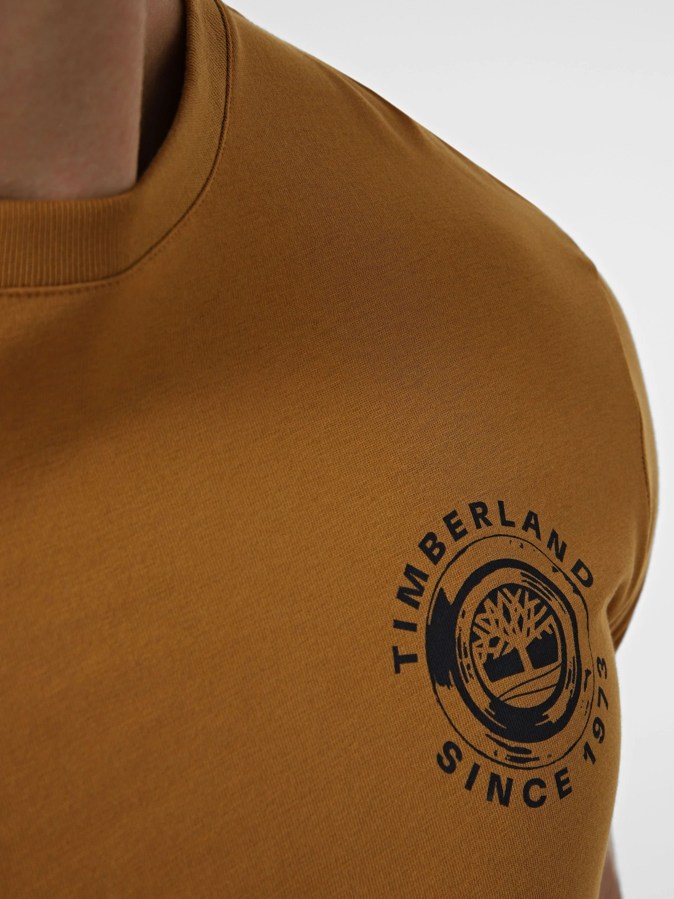Футболки и поло Timberland модель TBC0YHFXP47 Футболки и поло Timberland модель TBC0YHFXP47 Фото
