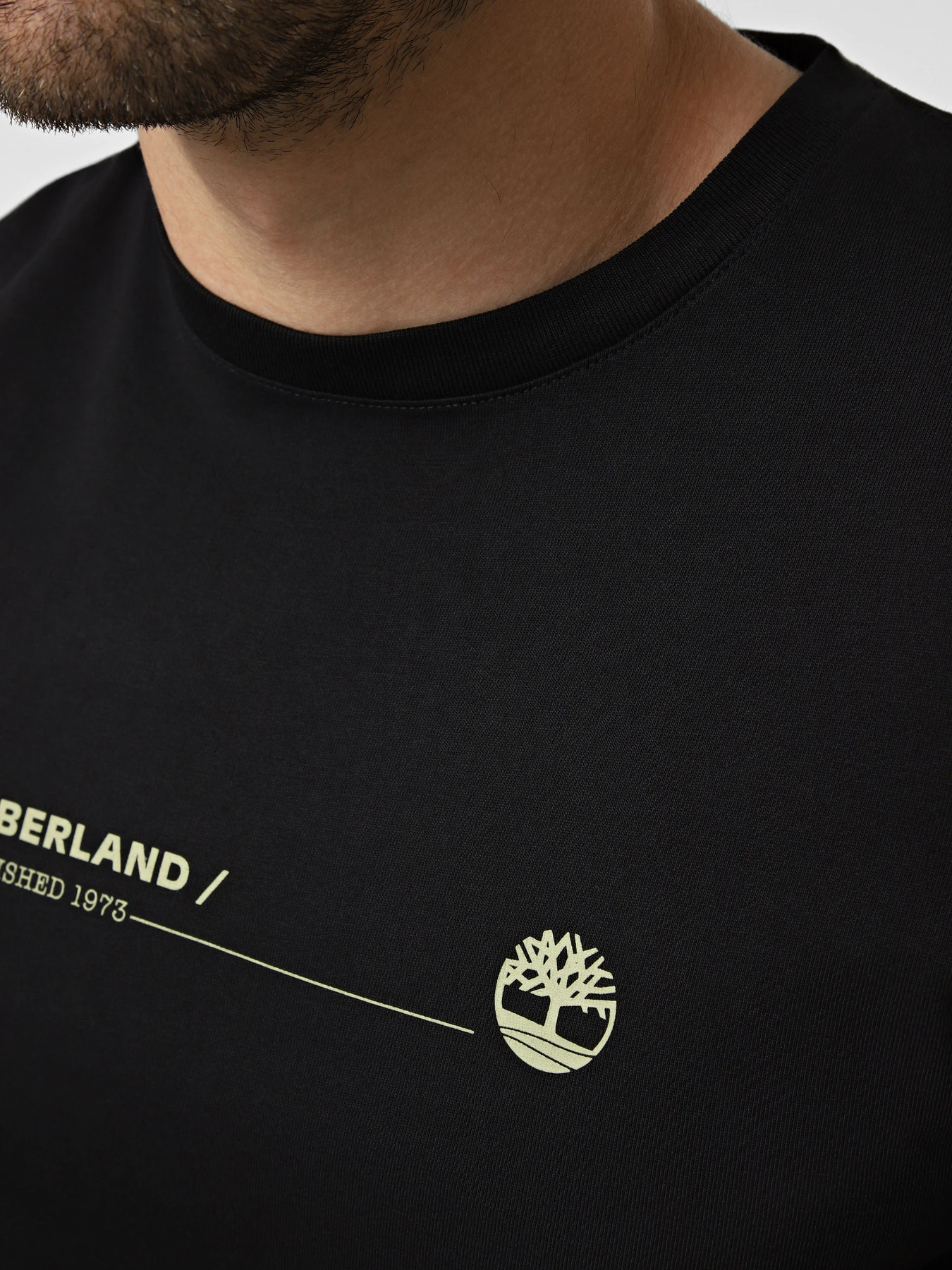 Футболки и поло Timberland модель TBC0YHFY001 Футболки и поло Timberland модель TBC0YHFY001 Фото
