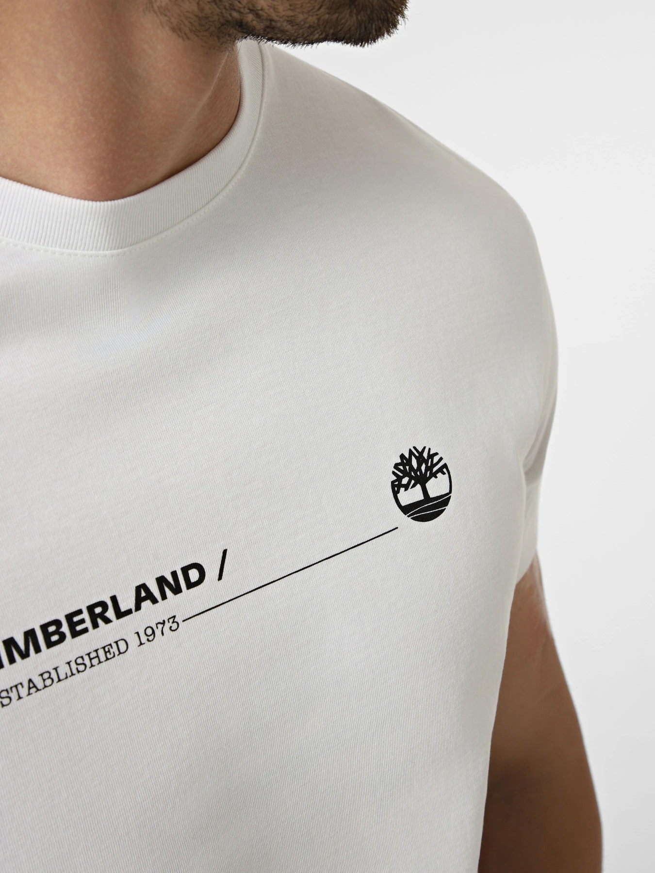 Футболки и поло Timberland модель TBC0YHFY100 Футболки и поло Timberland модель TBC0YHFY100 Фото