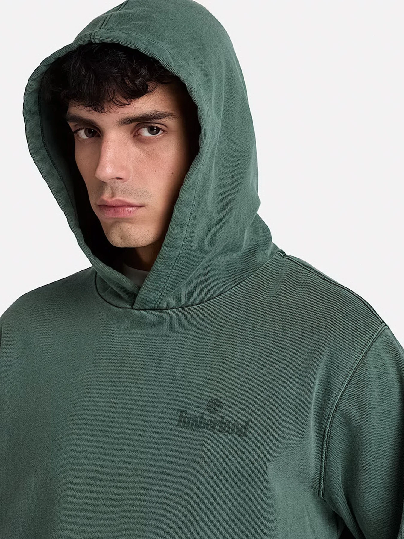 Худи и свитшоты Timberland модель TBC0YHB5AOO Фото