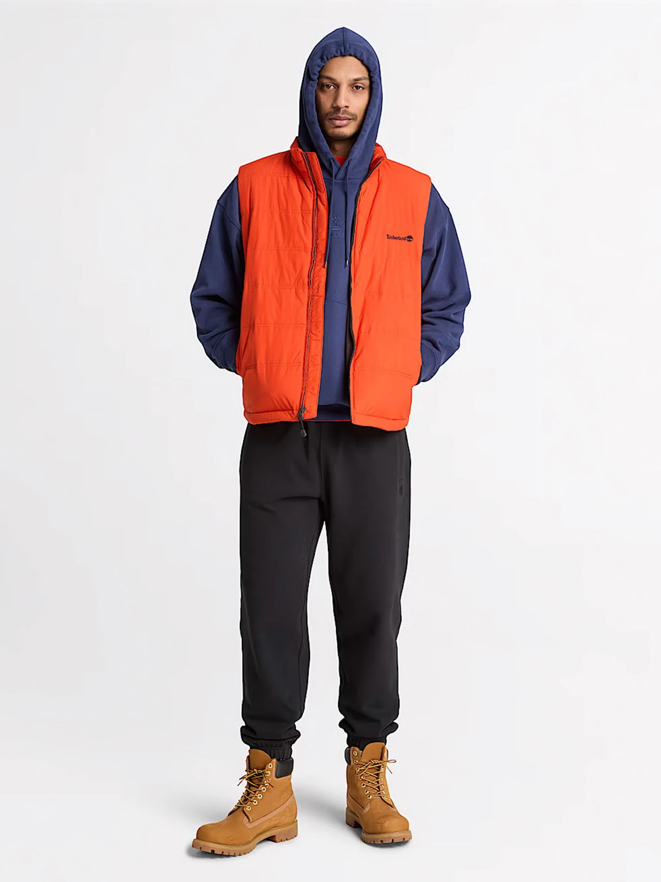 Худи и свитшоты Timberland модель TBC0YHF2AIH Фото