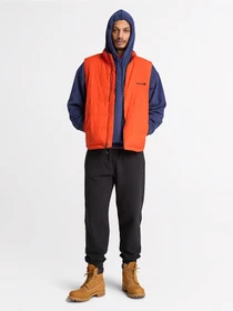 Худи и свитшоты Timberland модель TBC0YHF2AIH Фото