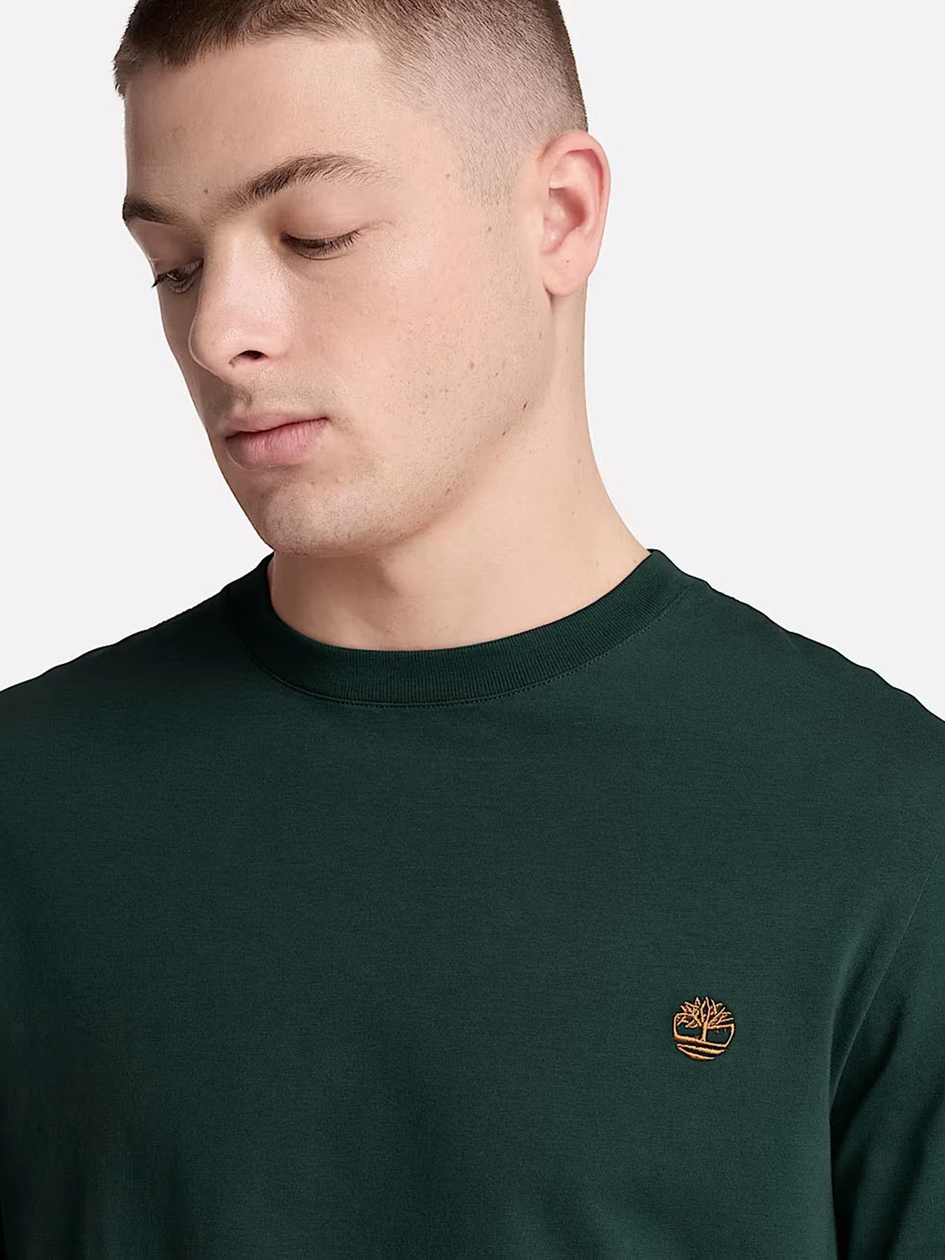 Худи и свитшоты Timberland модель TBC0YHBTEA1 Фото