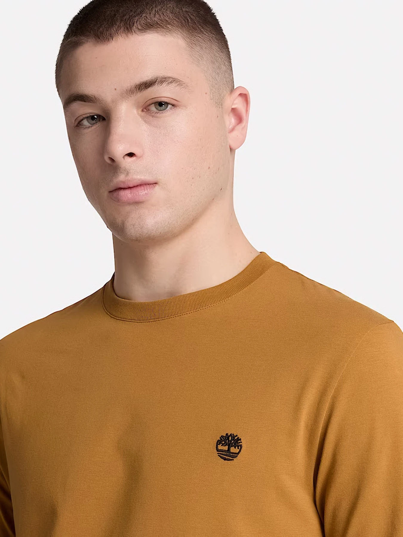 Худі та світшоти Timberland модель TBC0YHBTP47 Худі та світшоти Timberland модель TBC0YHBTP47 Фото