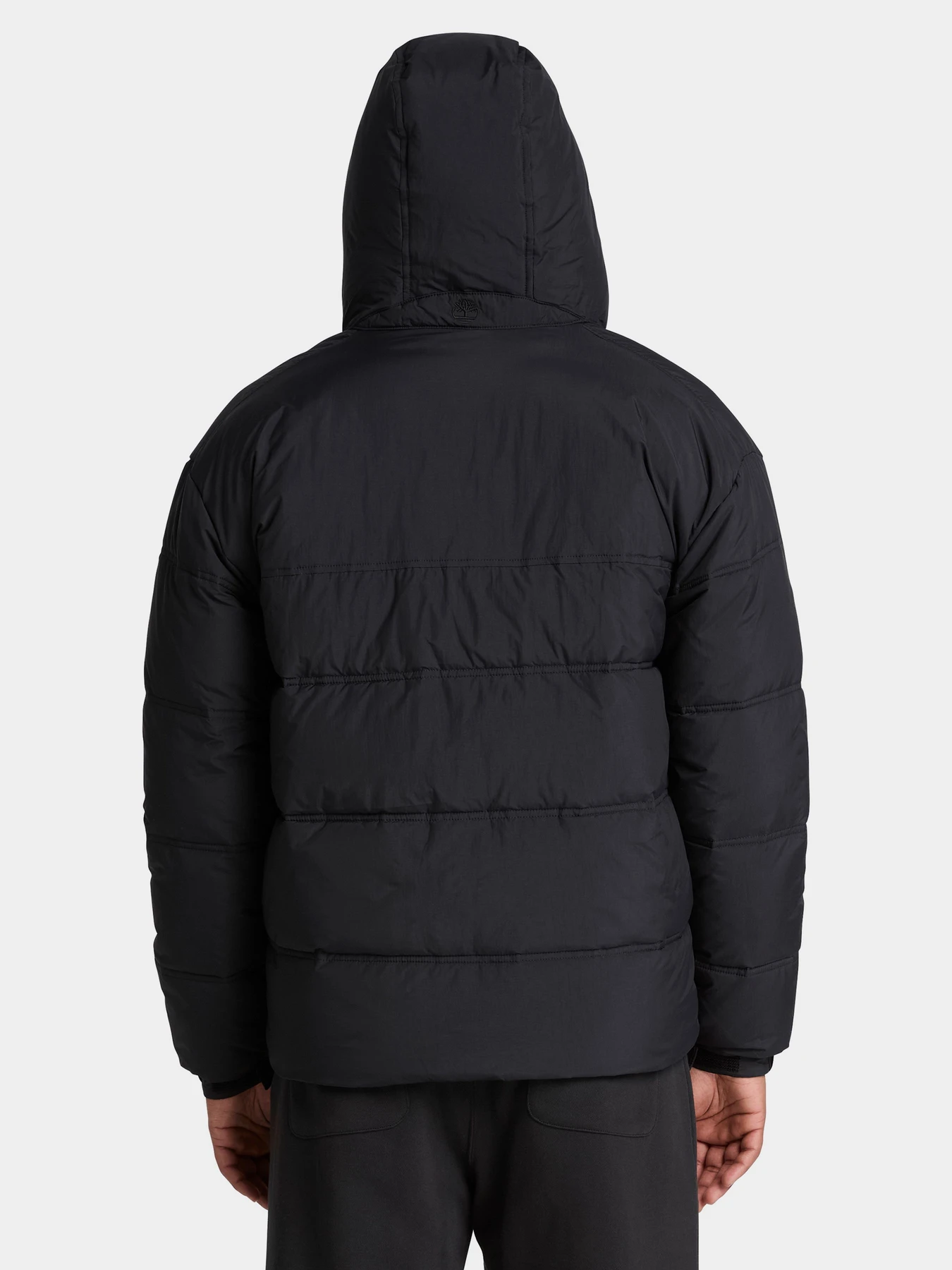 Куртки и дубленки Timberland модель TBC0YH71001 Куртки и дубленки Timberland модель TBC0YH71001 Фото