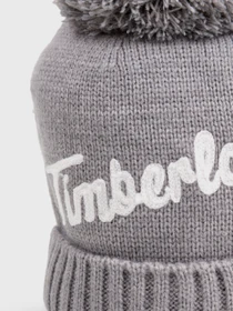 Шапки и кепки Timberland Logo модель TB0A1ERZC81 Фото