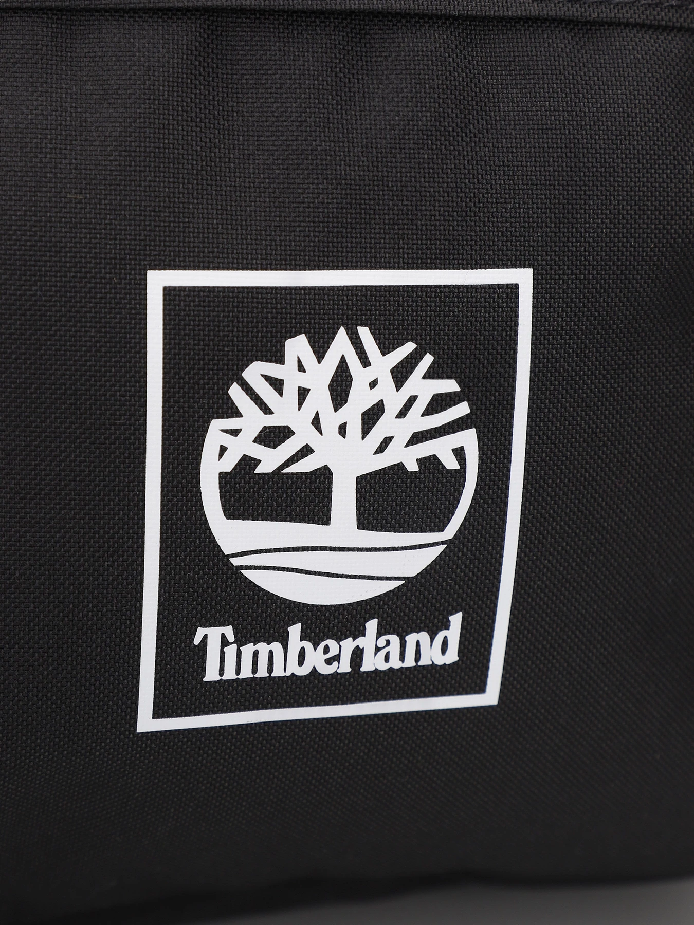 Рюкзаки Timberland Thayer модель TB0A6MK1001 Рюкзаки Timberland Thayer модель TB0A6MK1001 Фото